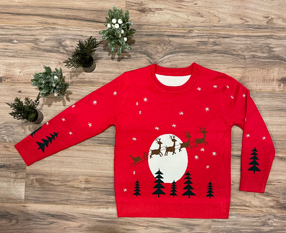 Santa’s Sleigh with Reindeer Ride- Boys Christmas Sweater